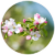 Menu icon