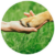 Menu icon