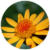 Menu icon