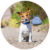 Menu icon